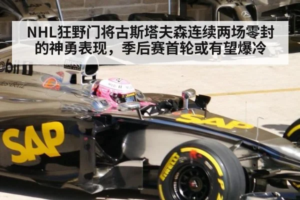 NHL狂野门将古斯塔夫森连续两场零封的神勇表现，季后赛首轮或有望爆冷